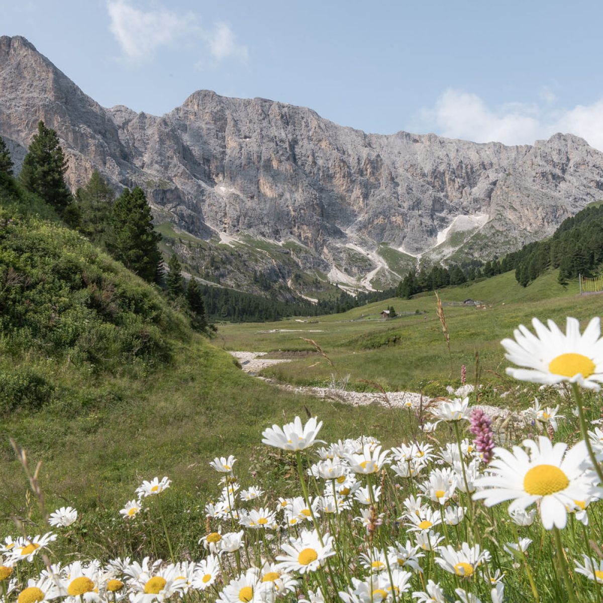 escursioni campitello di fassa