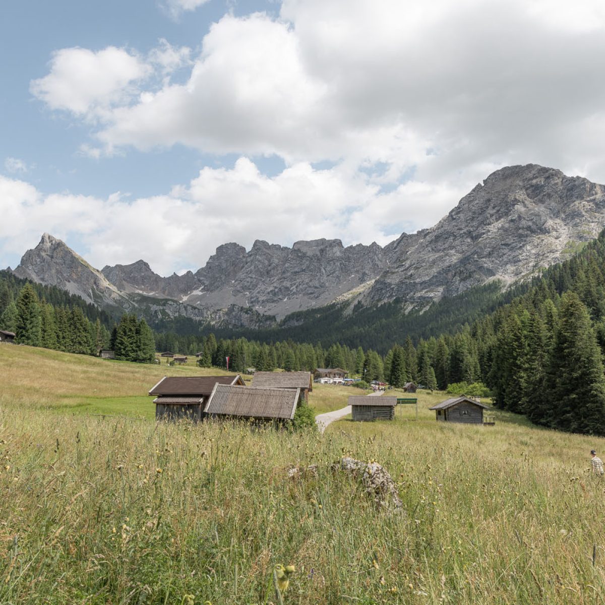alpeggio val di fassa