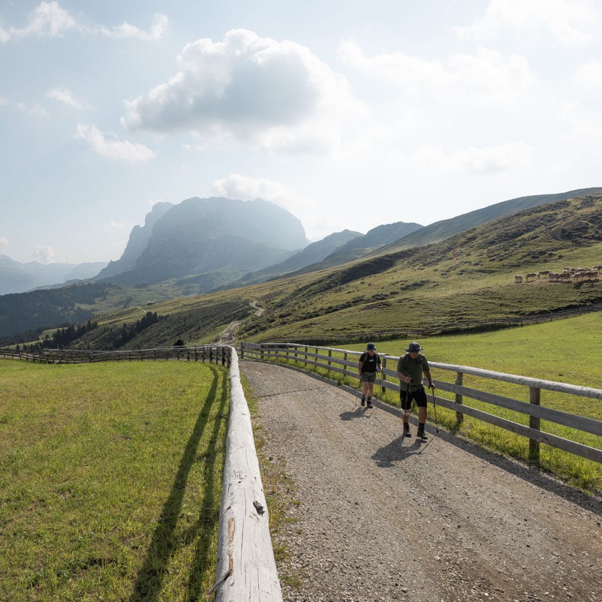 Spaziergänge campitello di fassa