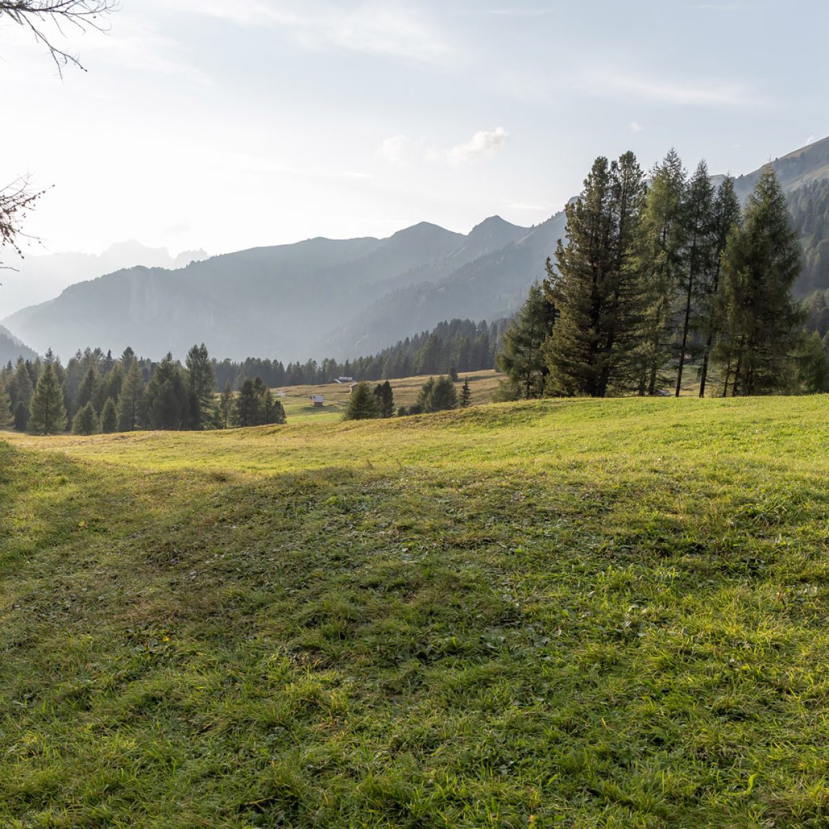 val san nicolò estate